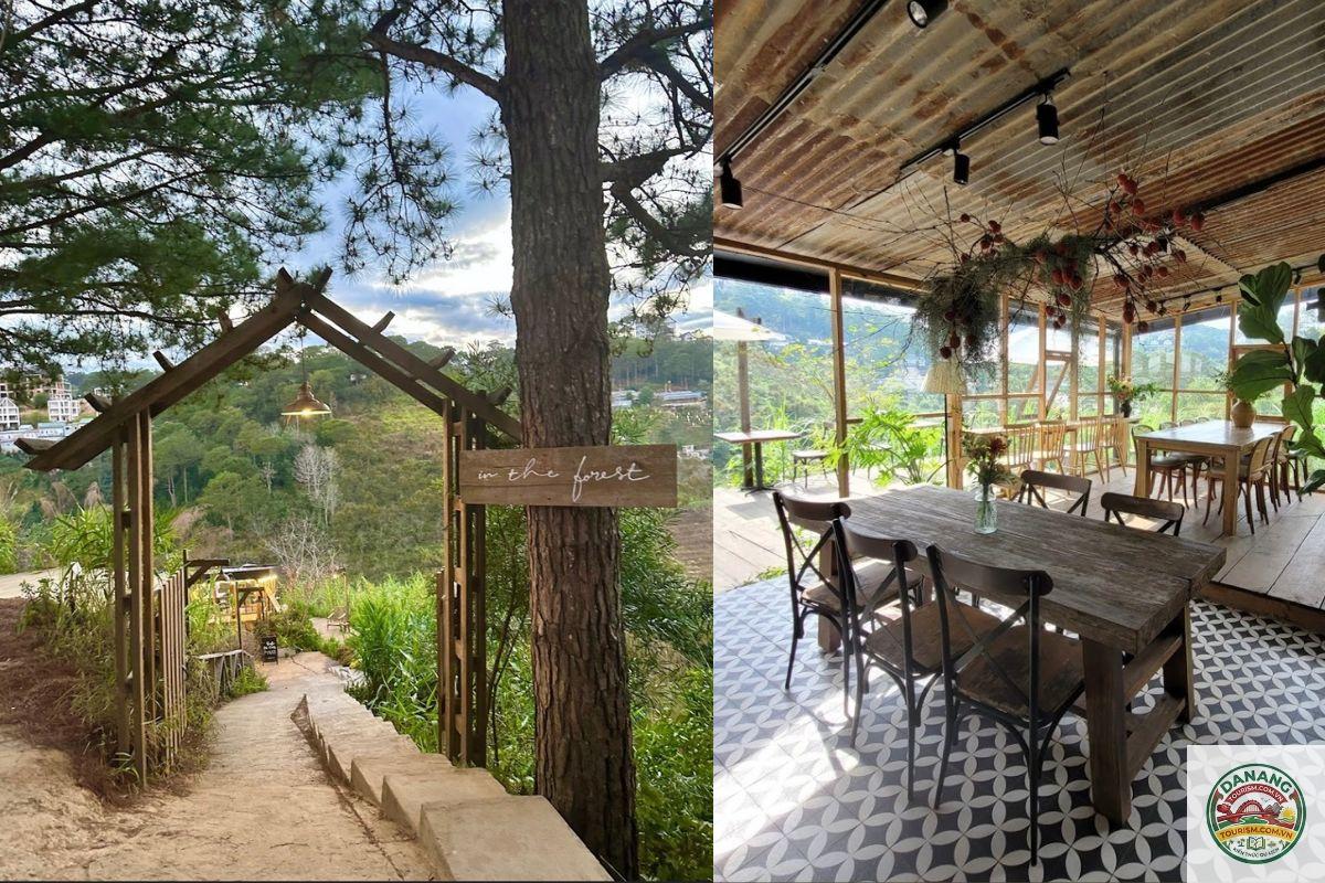 Cafe In The Forest - Hình 1