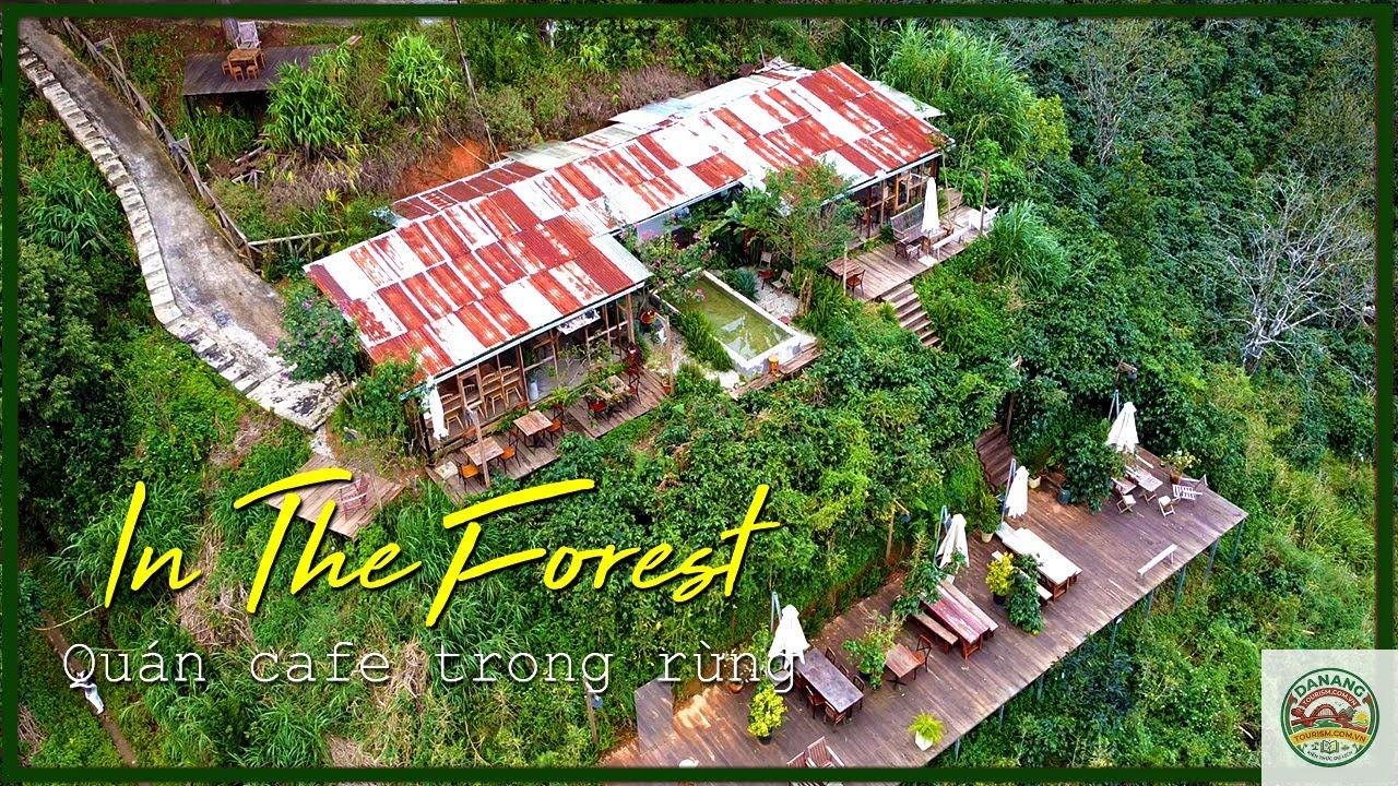 Cafe In The Forest - Hình 4