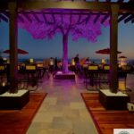 Khám Phá Thế Giới Sake House: Hành Trình Từ Truyền Thống Đến Hiện Đại