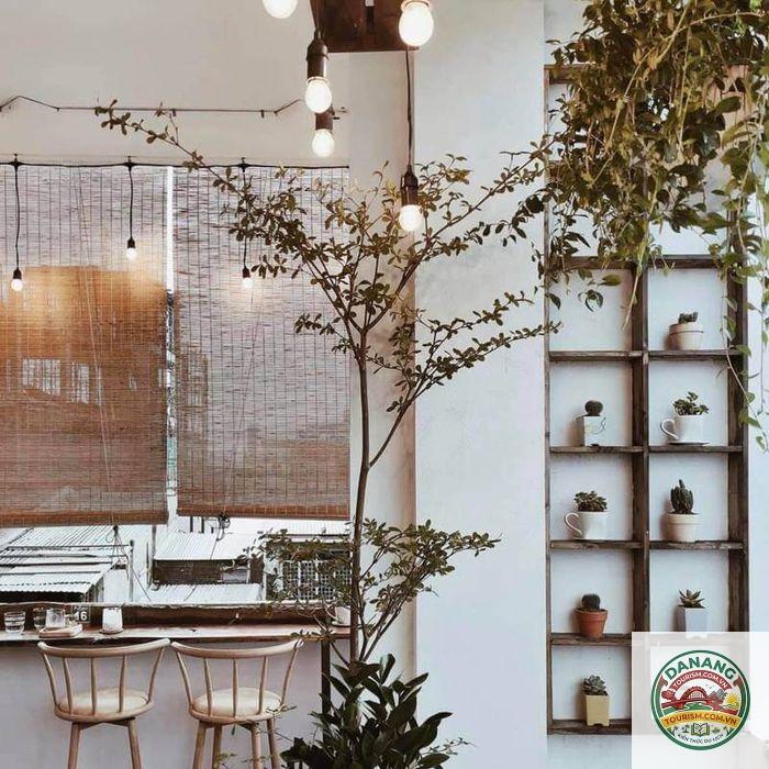 Sleeping Wood Cafe - Hình 4