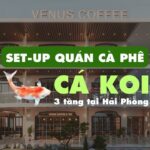 Venus Coffee – Hành Trình Từ Hạt Cà Phê Đến Ly Cà Phê Hoàn Hảo