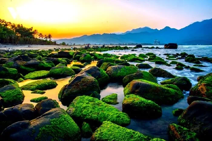 biển nam ô - Hình 2