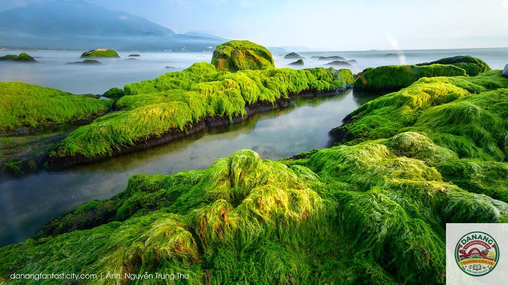 biển nam ô reef - Hình 4