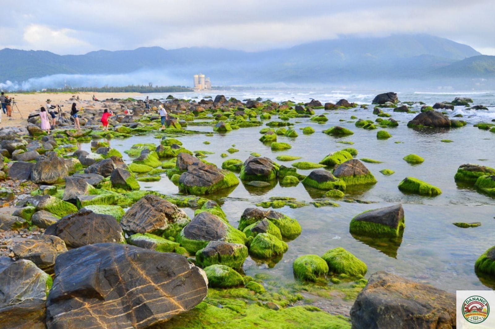 biển nam ô reef - Hình 5