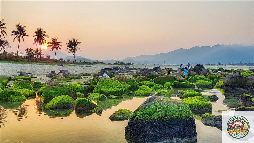 biển nam ô reef