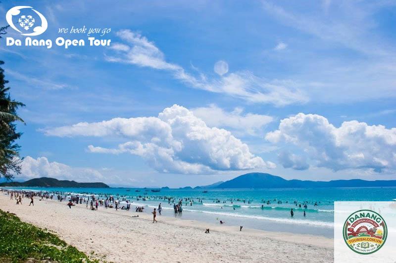 biển t20