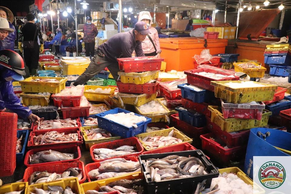 chợ đầu mối thủy sản thọ quang - Hình 2