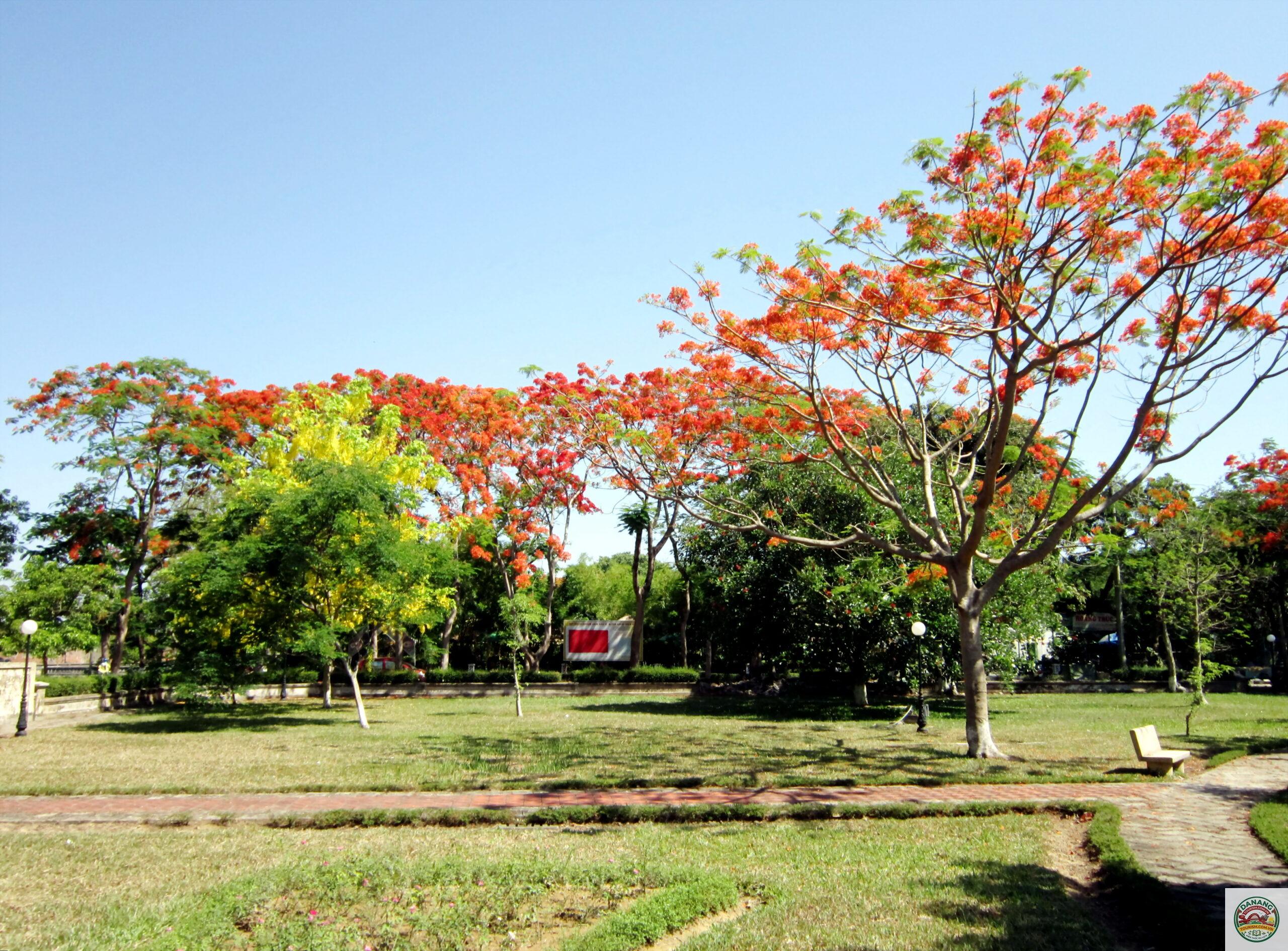 công viên nguyễn văn trỗi - Hình 2