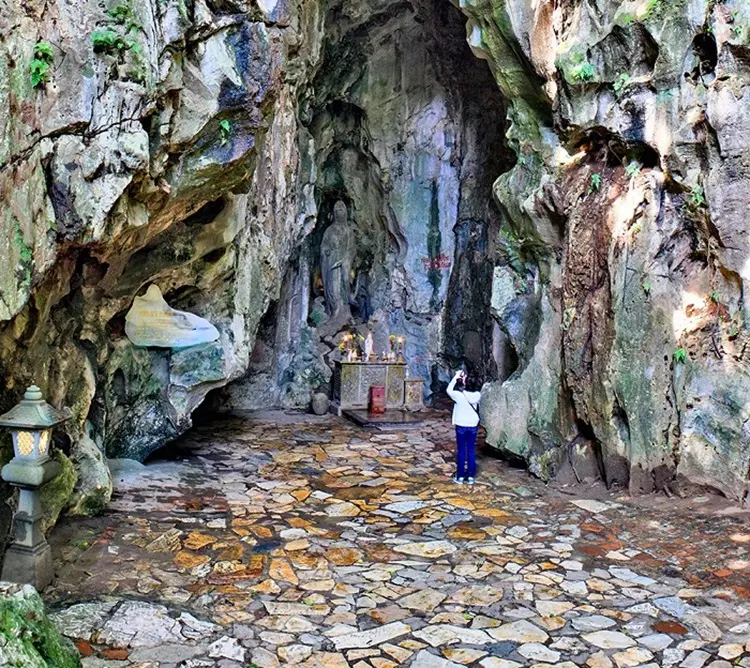 động hoa nghiêm - Hình 3