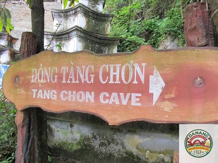động tàng chơn - Hình 5