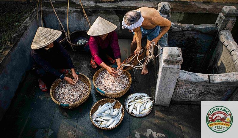 làng nghề nước mắm nam ô - Hình 3