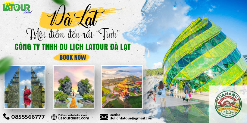 lịch trình đà lạt 1 ngày - Hình 2