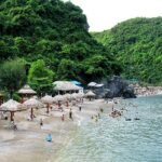 Lịch trình du lịch Cát Bà 2 ngày 1 đêm chi tiết nhất cho chuyến đi trọn vẹn lịch trình du lịch cát bà 2 ngày 1 đêm