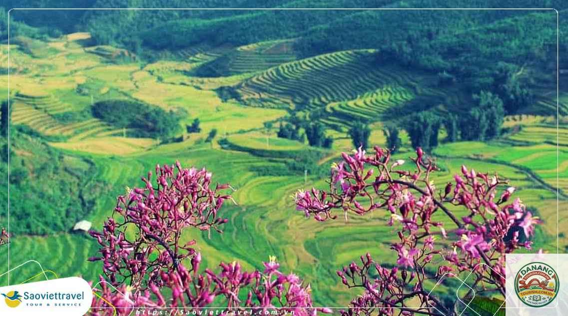 lịch trình du lịch điện biên 4 ngày 3 đêm - Hình 2