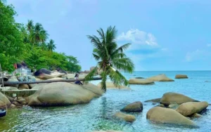lịch trình du lịch hòn sơn 2 ngày 1 đêm