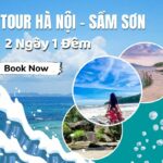 Lịch trình du lịch Sầm Sơn 2 ngày 1 đêm chi tiết nhất – Ăn gì, chơi đâu, ở đâu? lịch trình du lịch sầm sơn 2 ngày 1 đêm