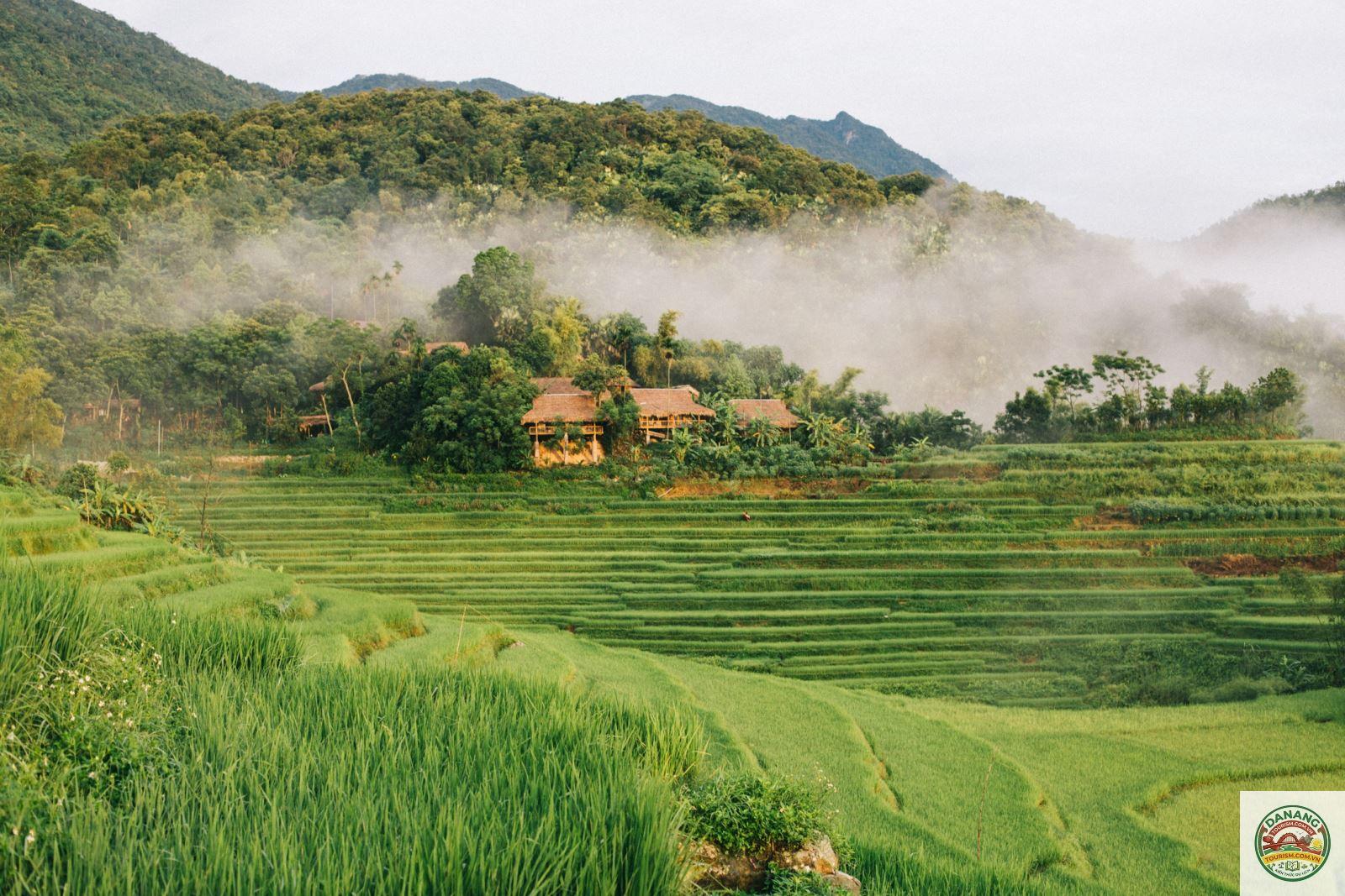 lịch trình du lịch thanh hóa 2 ngày 1 đêm - Hình 3
