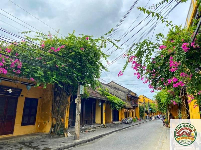 lịch trình hội an 1 ngày tự túc - Hình 4