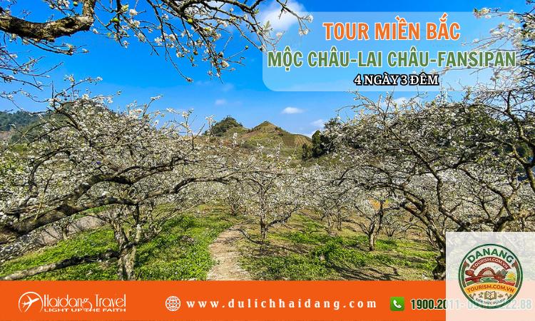 lịch trình mộc châu 4 ngày 3 đêm - Hình 3