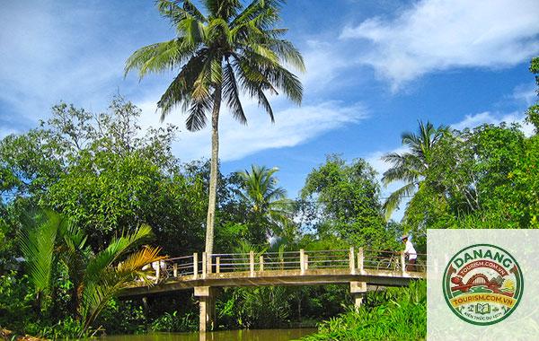 lịch trình sài gòn vĩnh long cần thơ - Hình 4