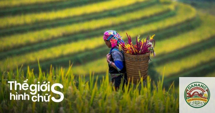 lịch trình sapa 4 ngày 3 đêm - Hình 4