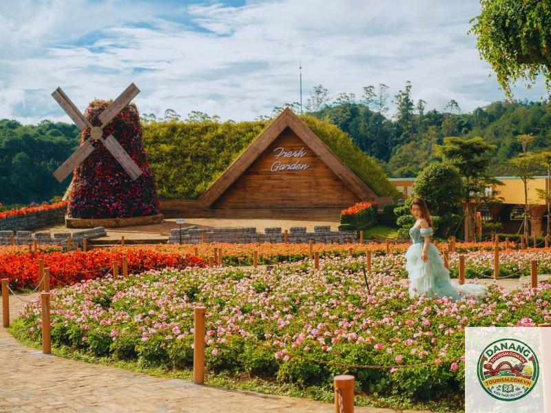 nhà xe đà nẵng đi fresh garden đà lạt - Hình 3