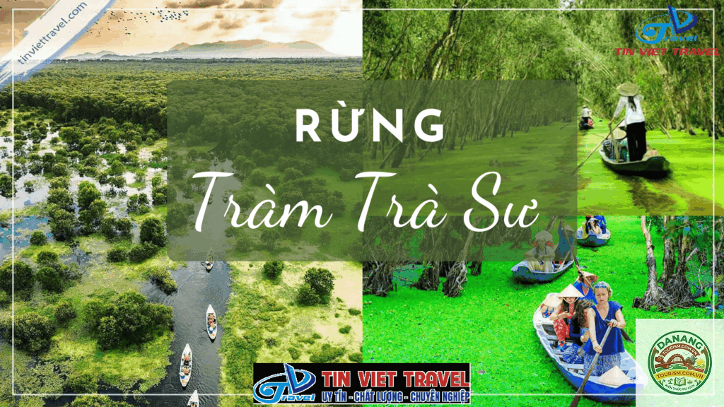 nhà xe đà nẵng đi rừng tràm trà sư