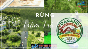 nhà xe đà nẵng đi rừng tràm trà sư