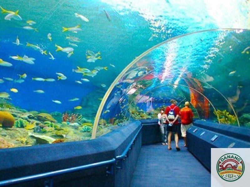 nhà xe đà nẵng đi viện hải dương học - Hình 4