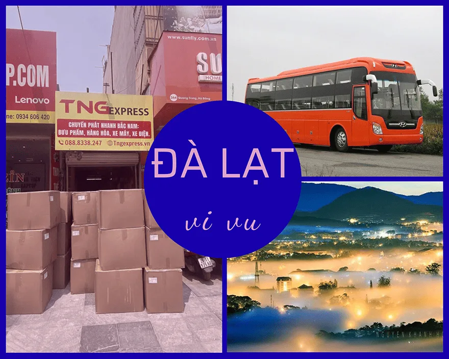 nhà xe hà nội đi đồi chè cầu đất - Hình 4