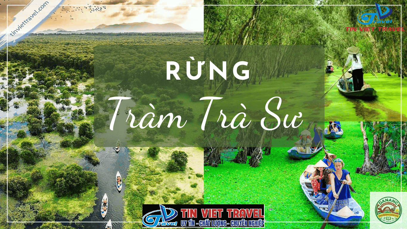 nhà xe hà nội đi rừng tràm trà sư - Hình 1