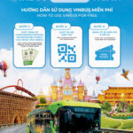 Nhà Xe Hà Nội Đi Safari Phú Quốc – Giải Pháp Di Chuyển Tối Ưu Cho Chuyến Tham Quan Vườn Thú Hoang Dã nhà xe hà nội đi safari phú quốc