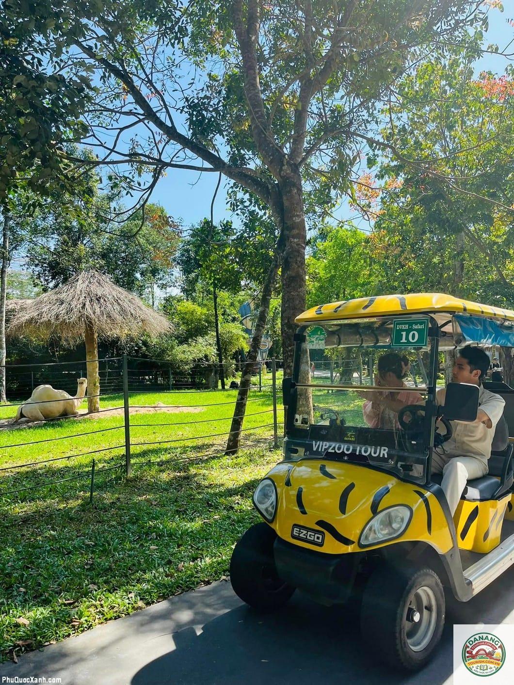 nhà xe hà nội đi safari phú quốc - Hình 5