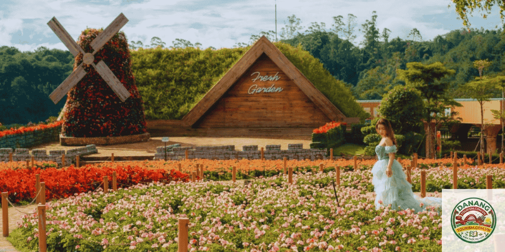 nhà xe sài gòn đi fresh garden đà lạt - Hình 4
