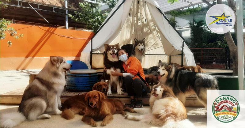 nhà xe sài gòn đi puppy farm - Hình 2