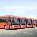 Nhà xe Sài Gòn đi Safari Phú Quốc – Kinh nghiệm đặt vé, bảng giá & lộ trình chi tiết 2025 nhà xe sài gòn đi safari phú quốc