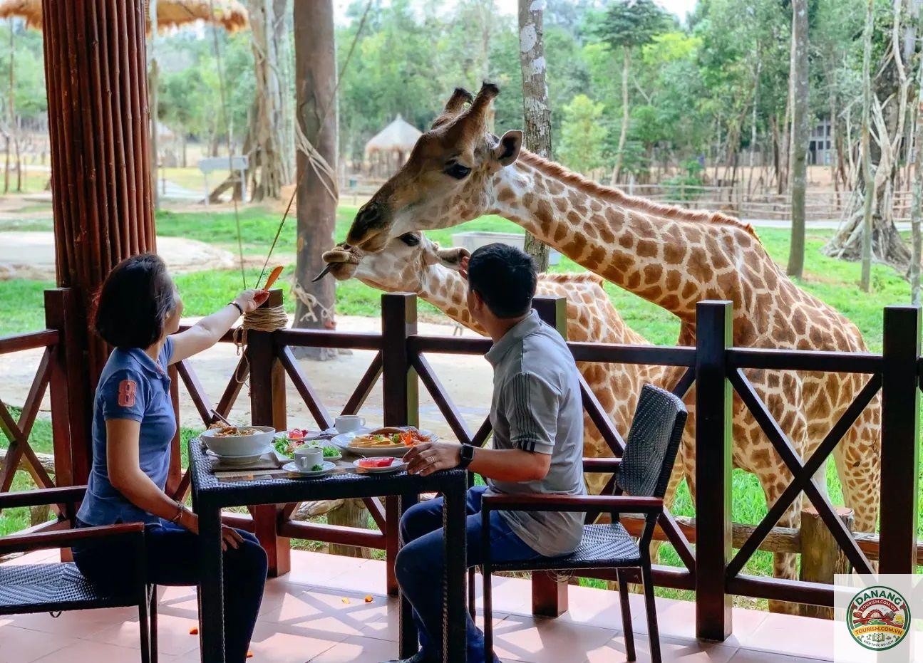 quán ăn gần safari phú quốc - Hình 3