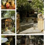 quán cafe đẹp cho gia đình đà nẵng