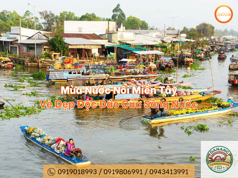 Bến Tre mùa nước nổi - Image 3