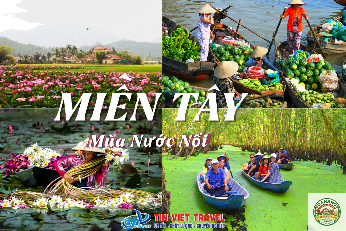 Bến Tre mùa nước nổi - Image 4
