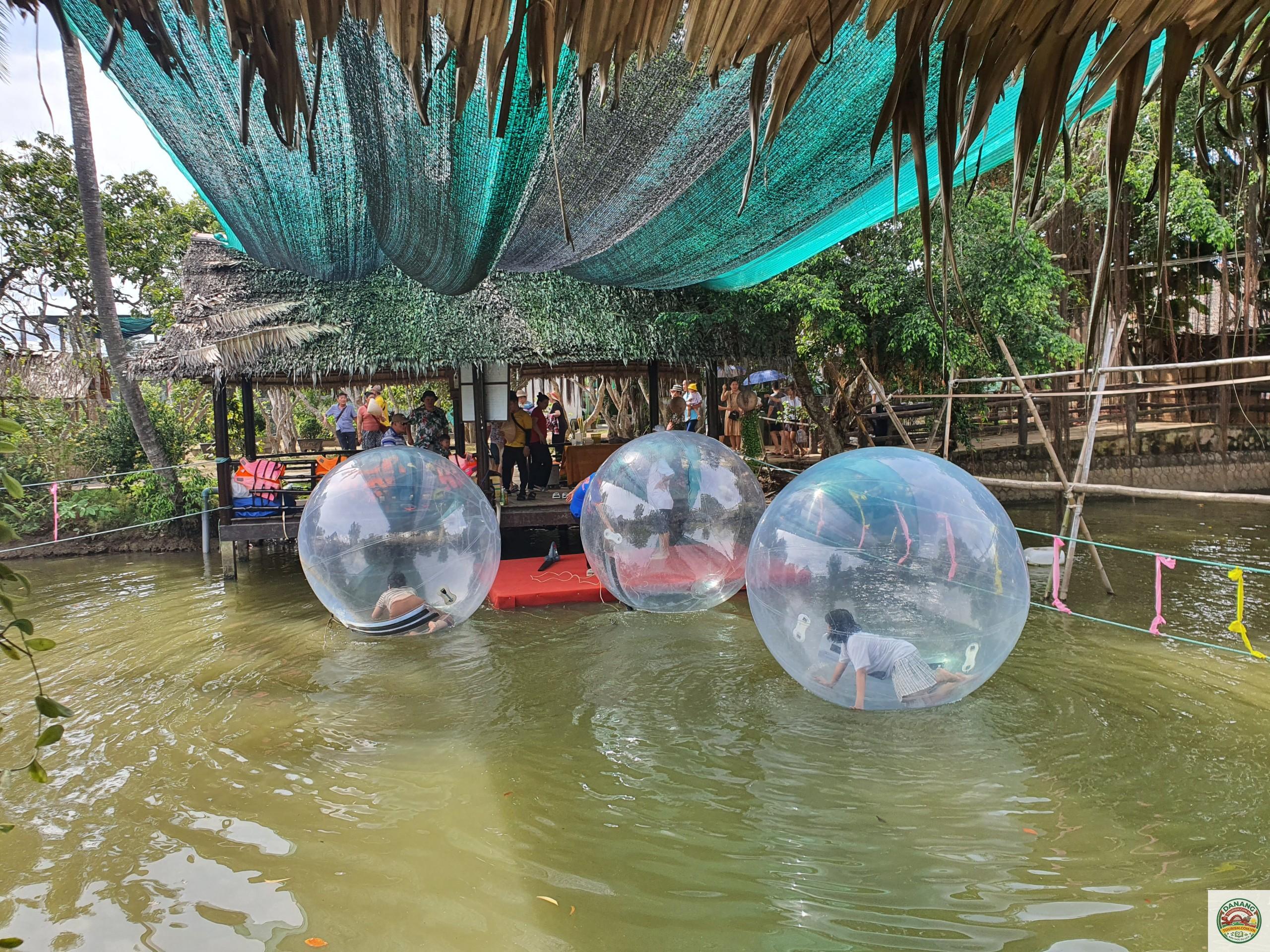 Cồn Phụng có gì chơi - Image 3