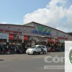 Bến Xe Buýt Bình Chánh: Cẩm Nang Di Chuyển Chi Tiết Nhất 2024