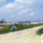 Bến Xe Kim Động: Cẩm Nang Di Chuyển, Tuyến Xe Và Kinh Nghiệm Chi Tiết Nhất