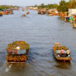 cù lao nổi tiếng Bến Tre