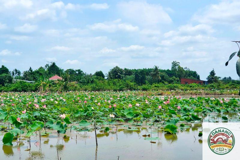 địa điểm du lịch Châu Thành Bến Tre - Image 4