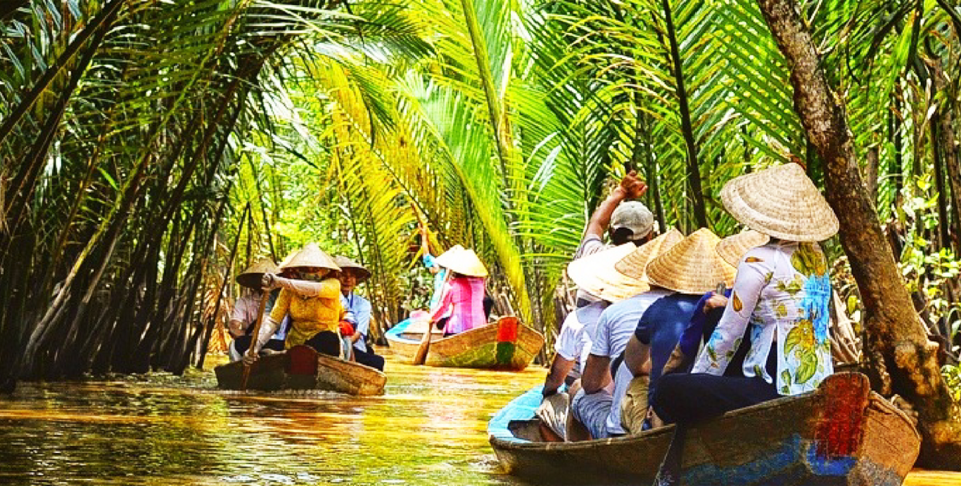 du lịch Cồn Phụng - Image 1