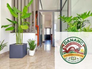 homestay an thượng gần biển mỹ khê - Image 2