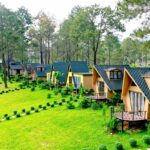Homestay Bản Áng Mộc Châu: Cẩm Nang Chi Tiết Từ A-Z Cho Chuyến Đi Trọn Vẹn homestay bản áng mộc châu