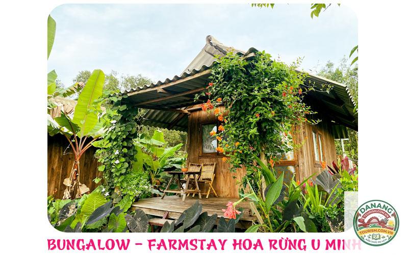homestay cà mau sinh thái - Image 3