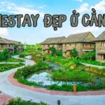 Top 15+ Homestay Cần Thơ Đẹp Nhất 2025: Check-in Sống Ảo Giữa Lòng Tây Đô homestay cần thơ đẹp